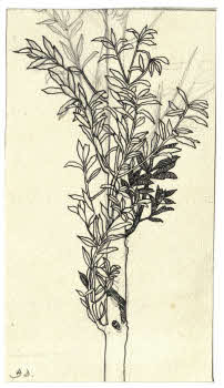 Visualizza l'immagine "FD D 2736"